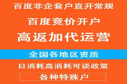 SEM托管公司成功案例：助力企业品牌提升
